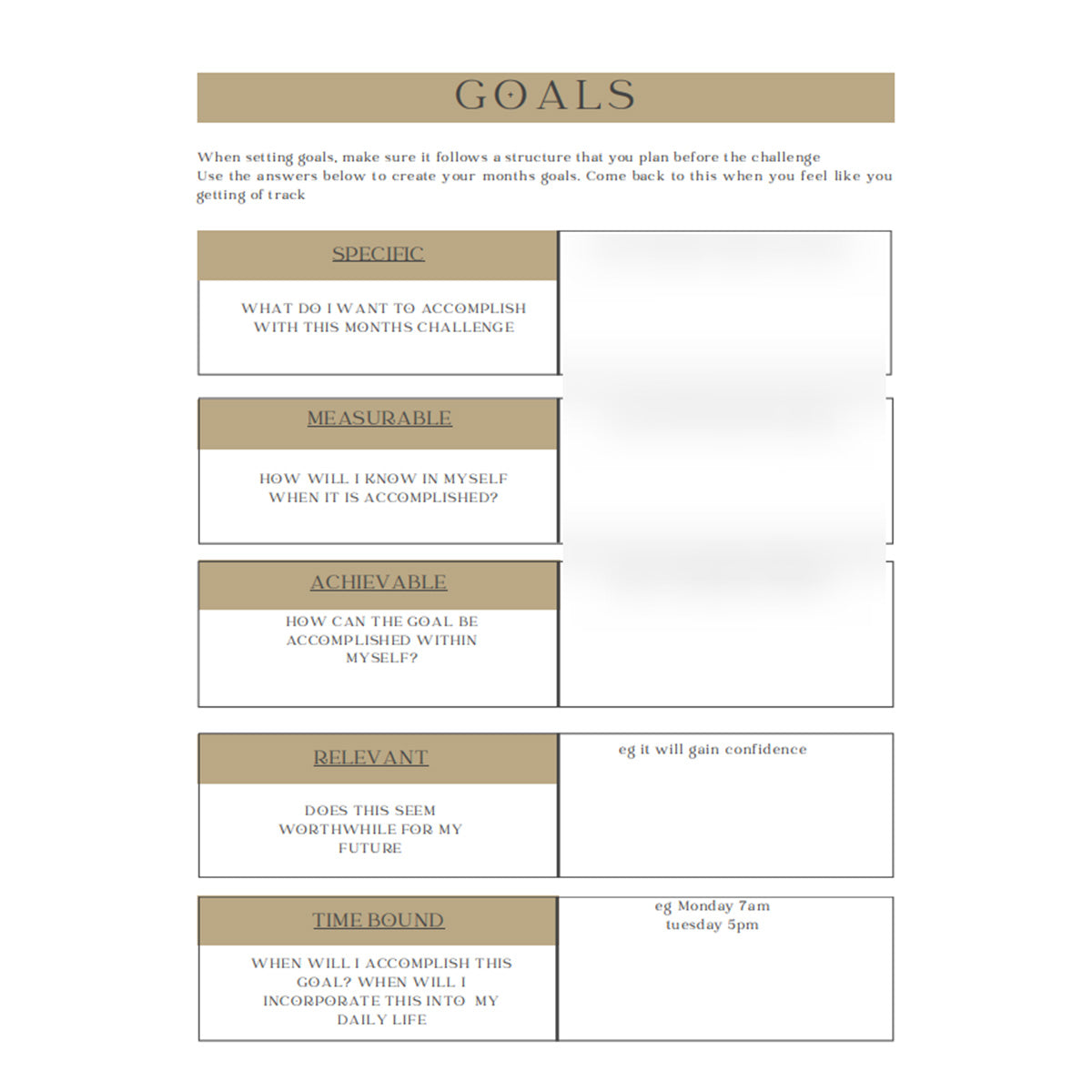 Goal-setting worksheet with text on a white background on Pilates Mini Journal